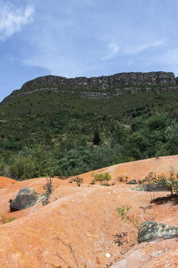 鄉村民宿 Farallones De El Rincon *